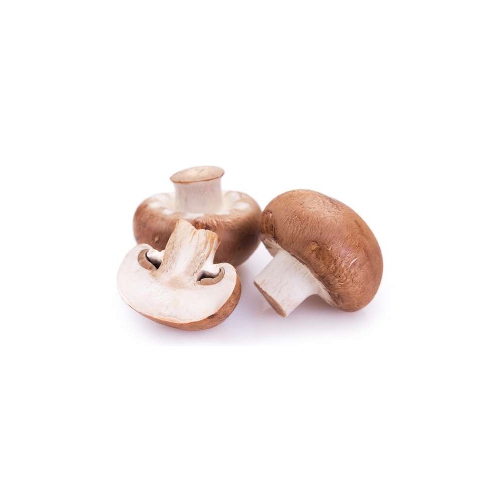 Champignon de Paris blond BIO (barquette 200 g), France