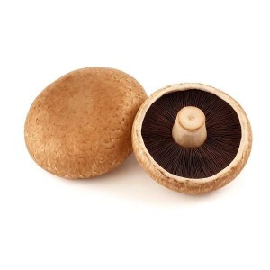 Barquette de 2 champignons Portobello "à farcir" (environ 150 g), Pologne