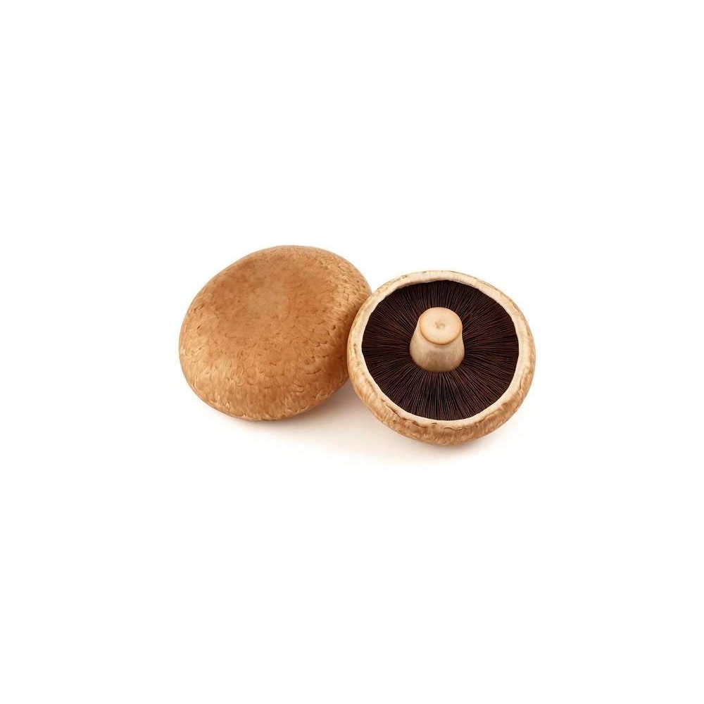 Barquette de 2 champignons Portobello "à farcir" (environ 150 g), Pologne