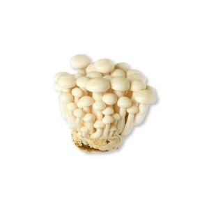 Champignon Shimeji blanc/brun (150 g), Chine