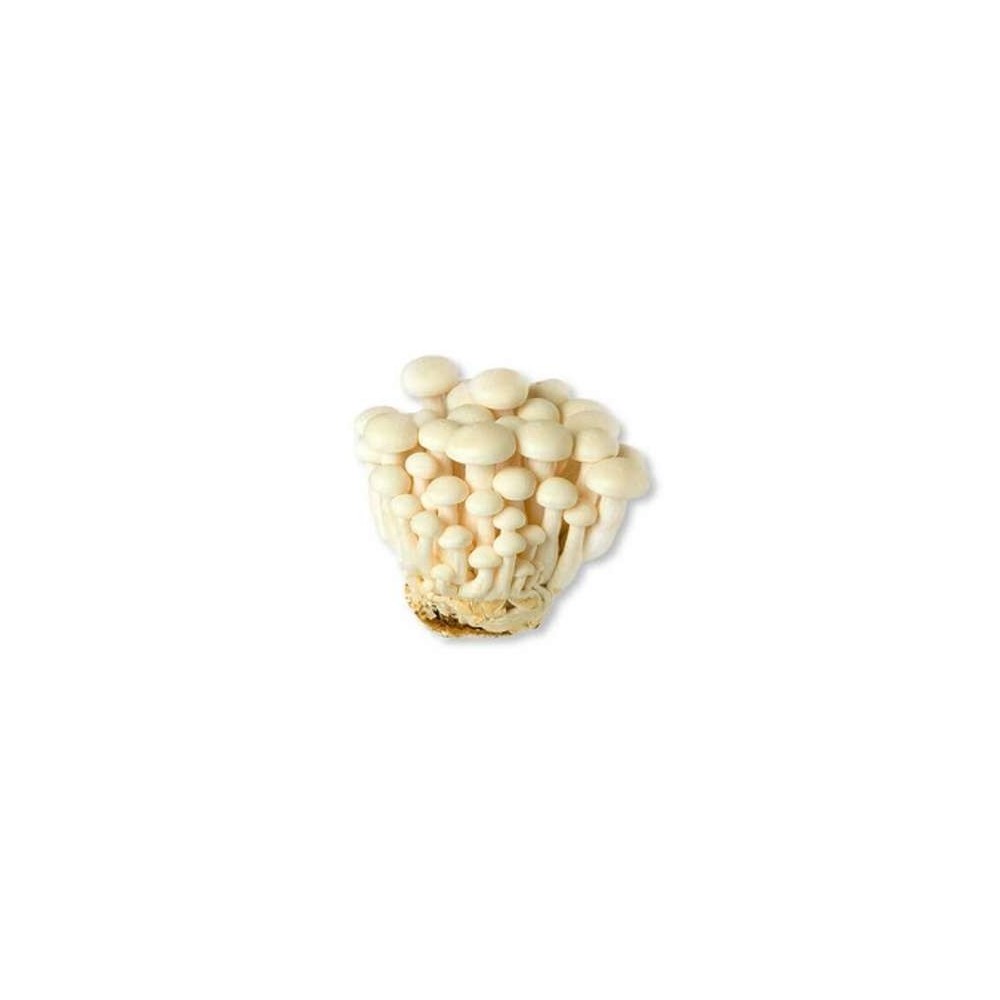 Champignon Shimeji blanc/brun (150 g), Chine