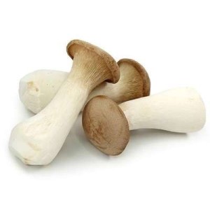 Champignon Eryingii ou "Pleurote du Panicaut" (200 g), Chine