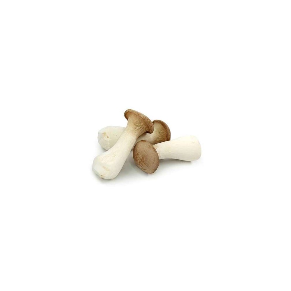 Champignon Eryingii ou "Pleurote du Panicaut" (200 g), Chine