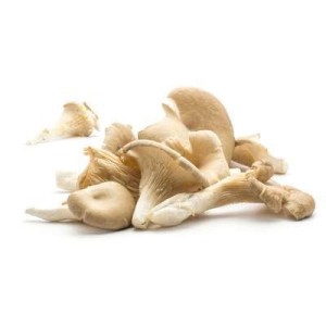 Pack de 1 Kg de Pleurotes, France