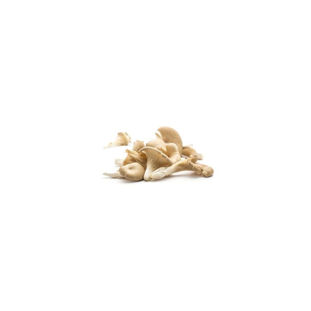 Pack de 1 Kg de Pleurotes, France