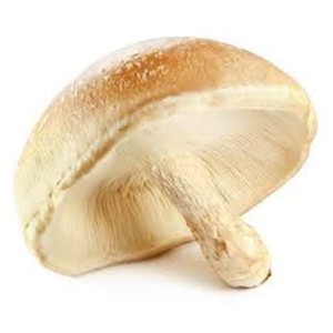 Champignons Shiitake (pack de 200 gr), France
