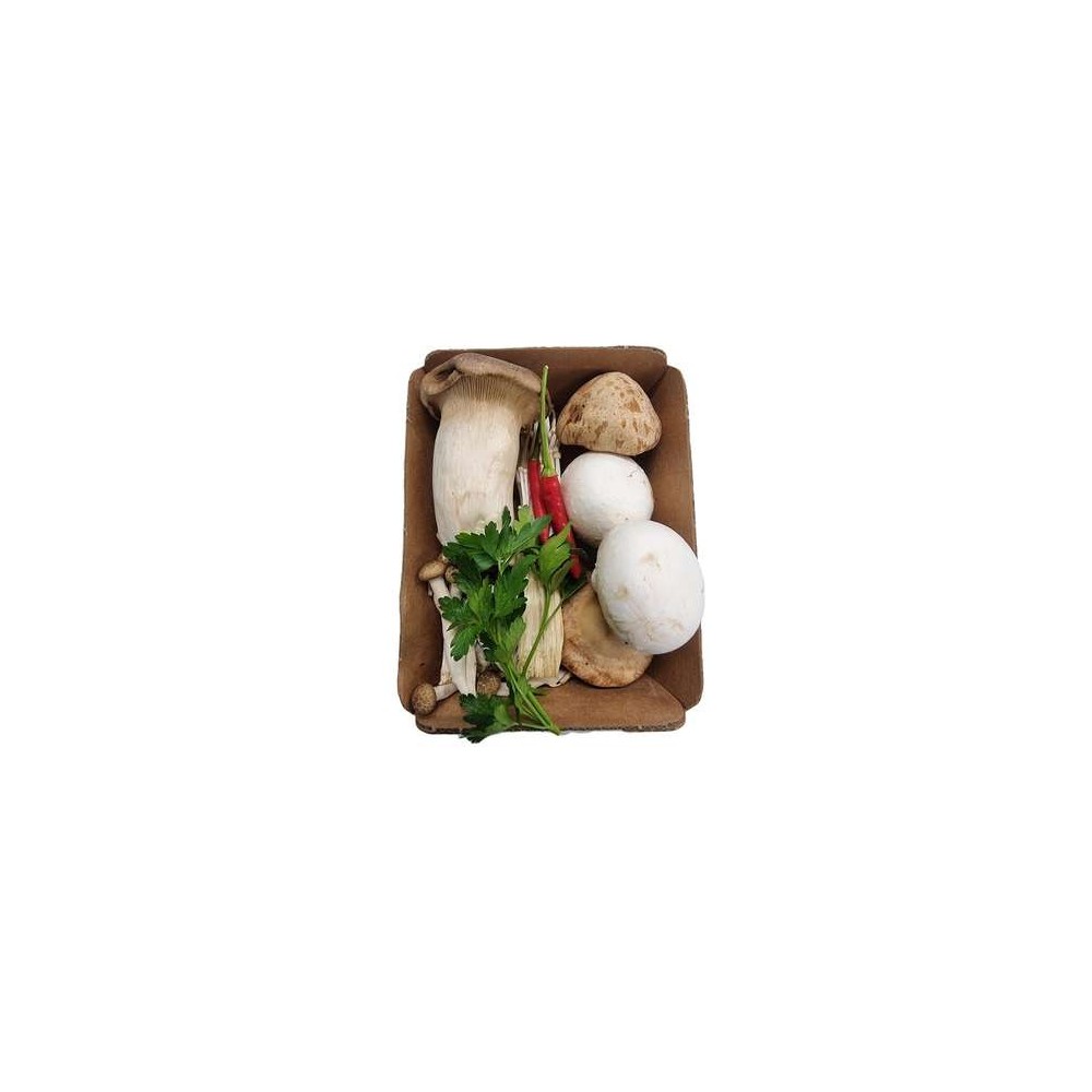 Champignons mélange asiatique pour Ramen / Pho ... (barquette de 250 g), UE