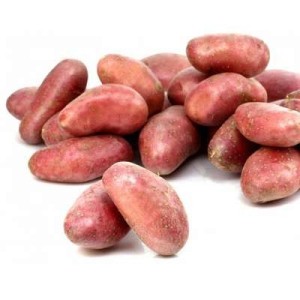 Pomme de terre vapeur rouge "Cheyenne" des Yvelines (Filet de 2,5kg), France