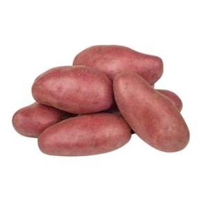 Pomme de terre vapeur rouge "Franceline" des Hauts-de-France (filet de 1,5 kg), France