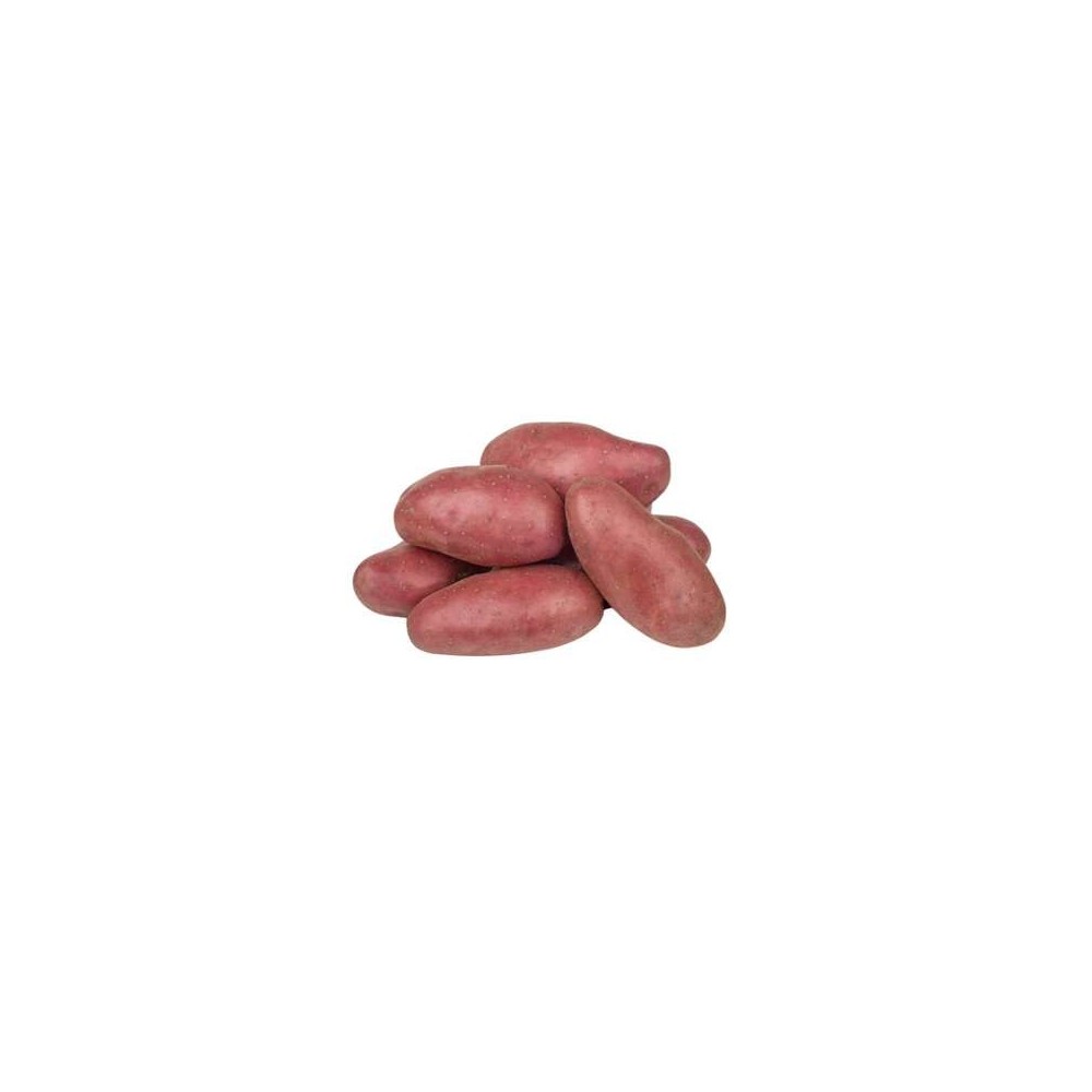 Pomme de terre vapeur rouge "Franceline" des Hauts-de-France (filet de 1,5 kg), France