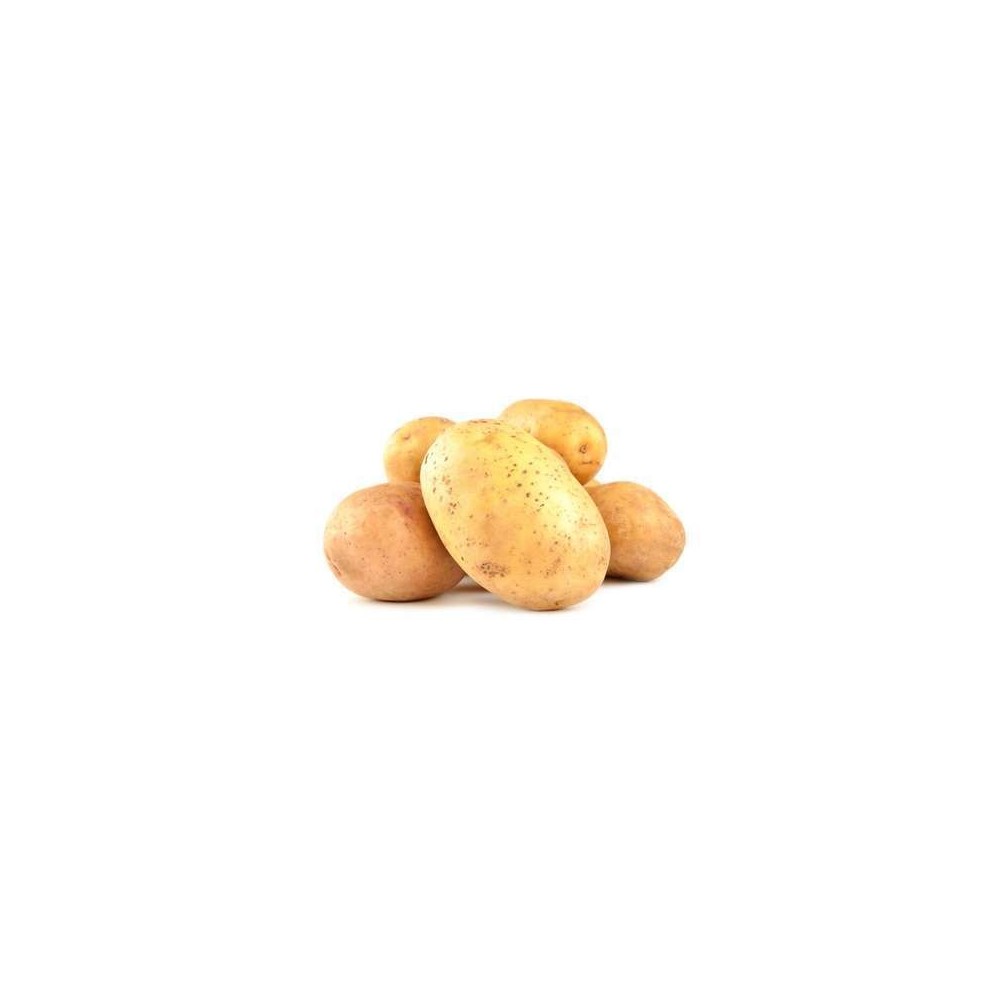 Pomme de terre nouvelle "Spunta" non lavée, Italie