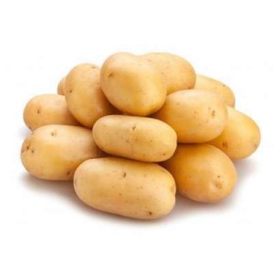 Pomme de terre vapeur, sautée, rissolée "Charlotte" BIO (filet de 2.5 kg), France