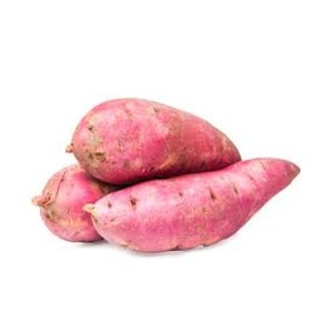 Patate douce à chair blanche, Afrique du Sud