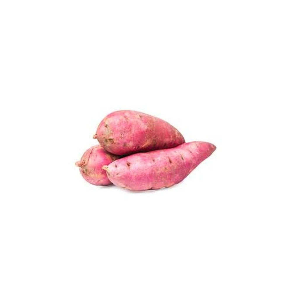 Patate douce à chair blanche, Afrique du Sud