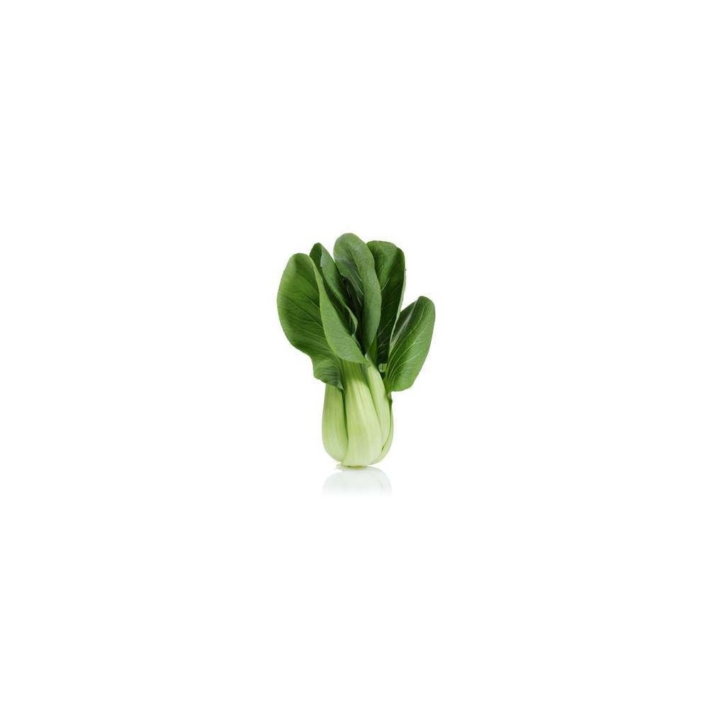 Pak choi (calibre moyen), Espagne