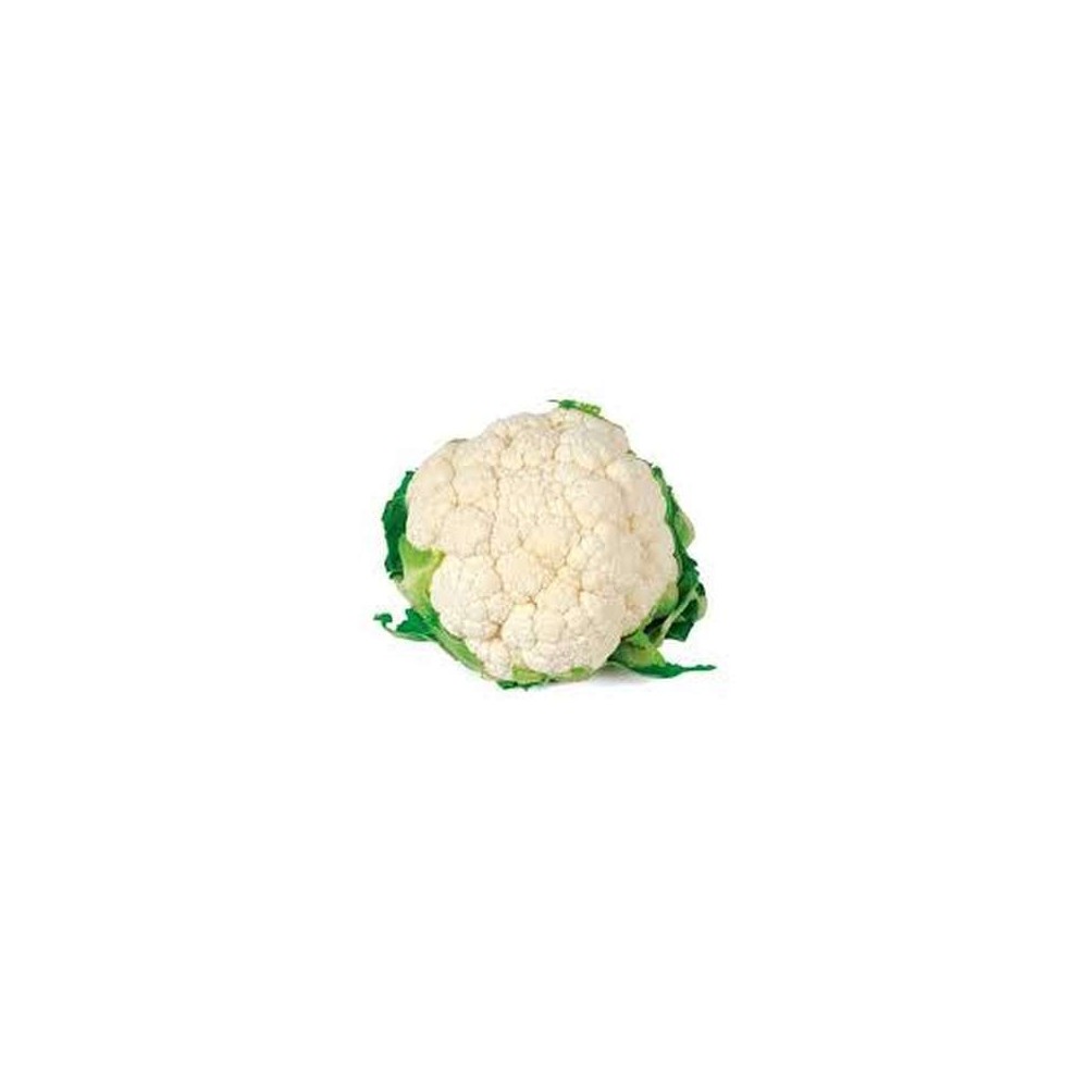 Chou-fleur blanc BIO (calibre moyen), France