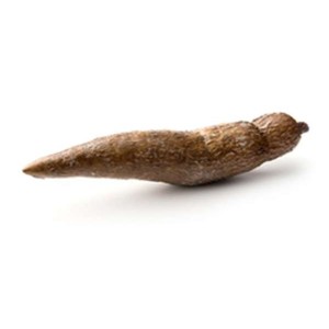 Manioc (calibre moyen), Costa Rica