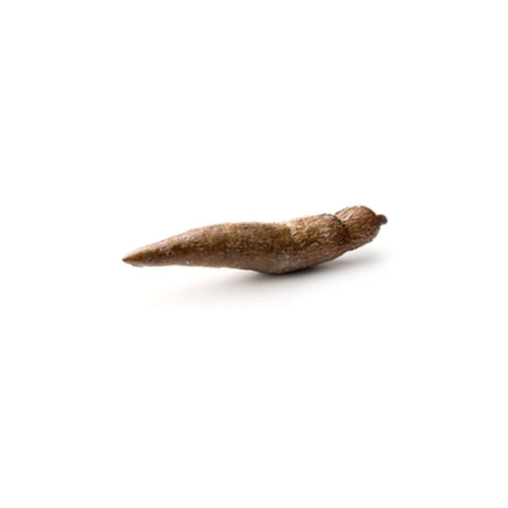 Manioc (calibre moyen), Costa Rica