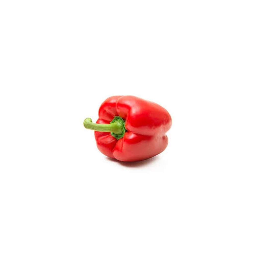 Poivron rouge (calibre moyen), Belgique
