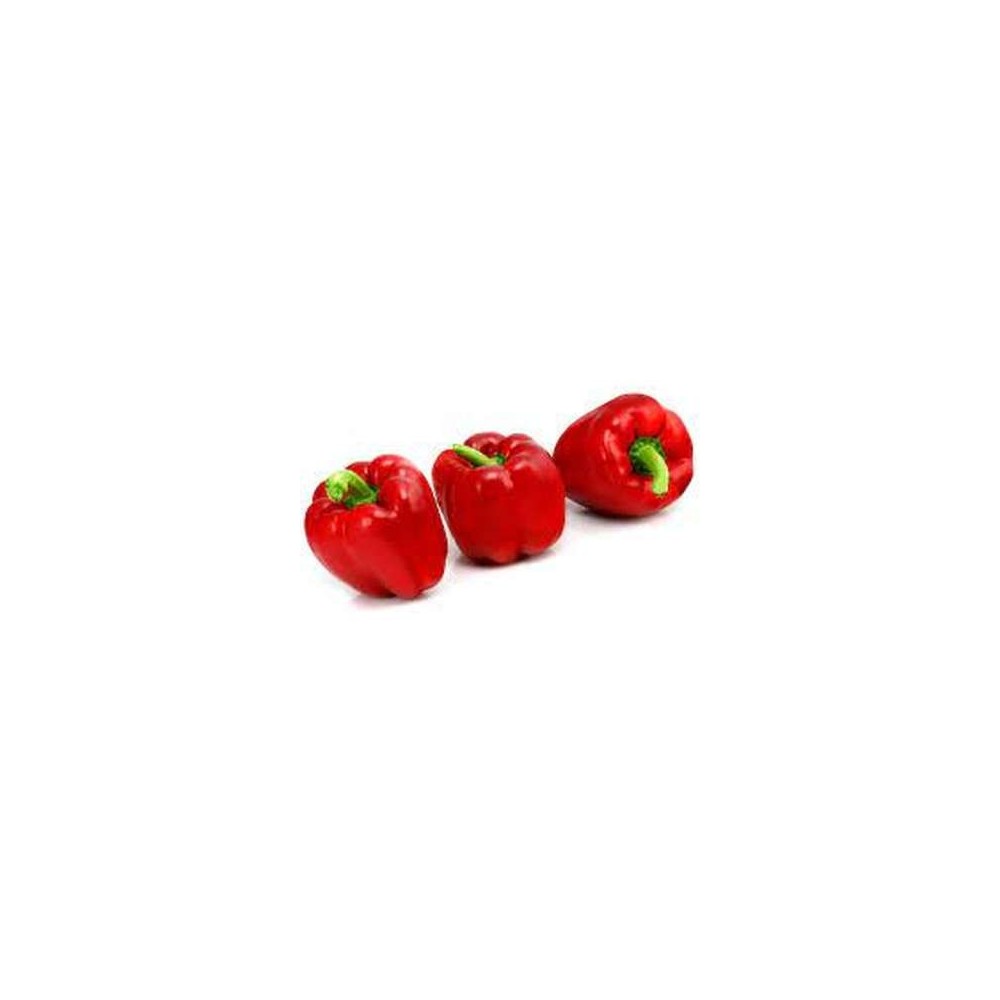 Lot de 3 poivrons rouges (calibre moyen), Belgique