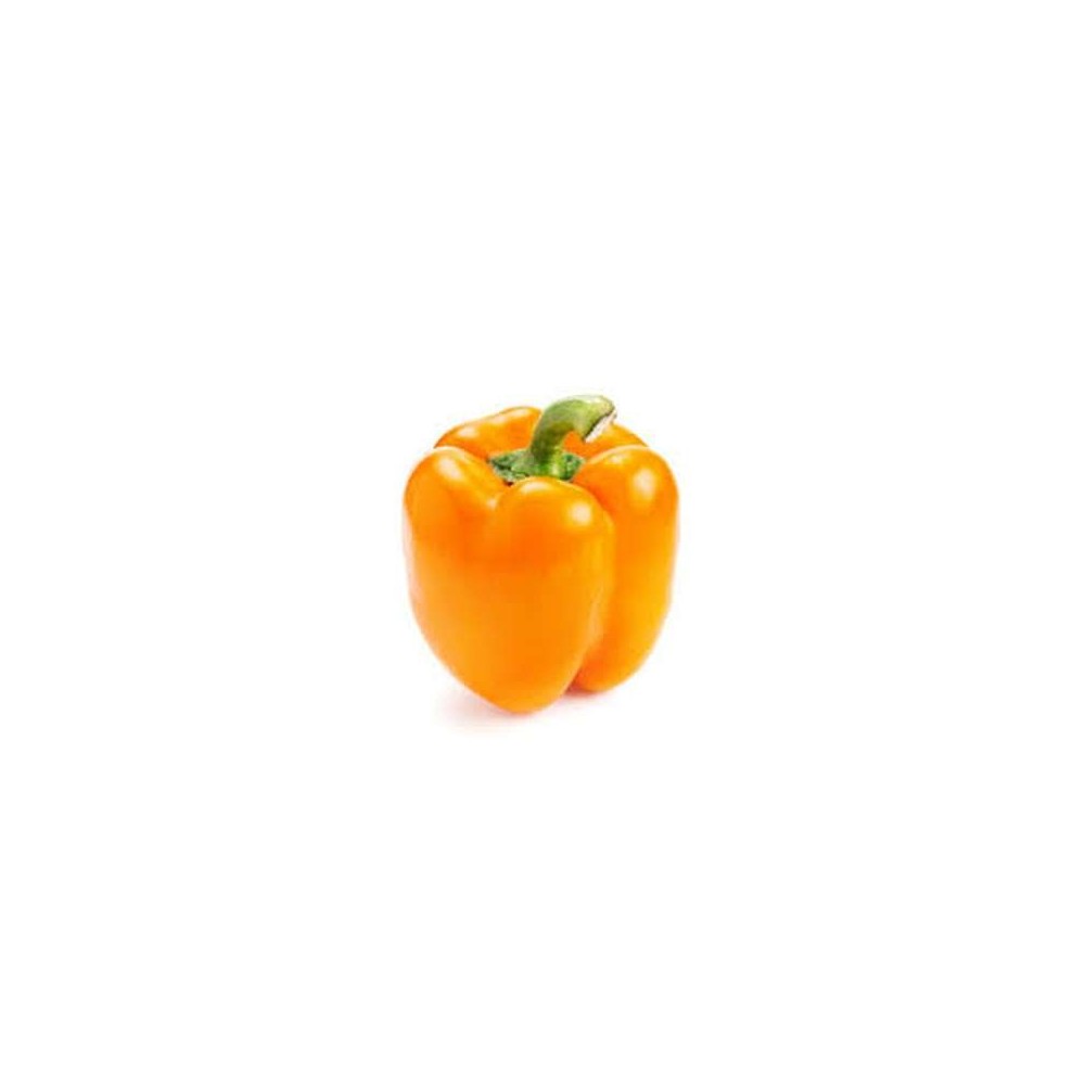 Poivron orange (gros calibre), Pays-bas