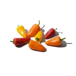 Mini poivrons (barquette de 150 g soit 5 à 6 pieces), Espagne