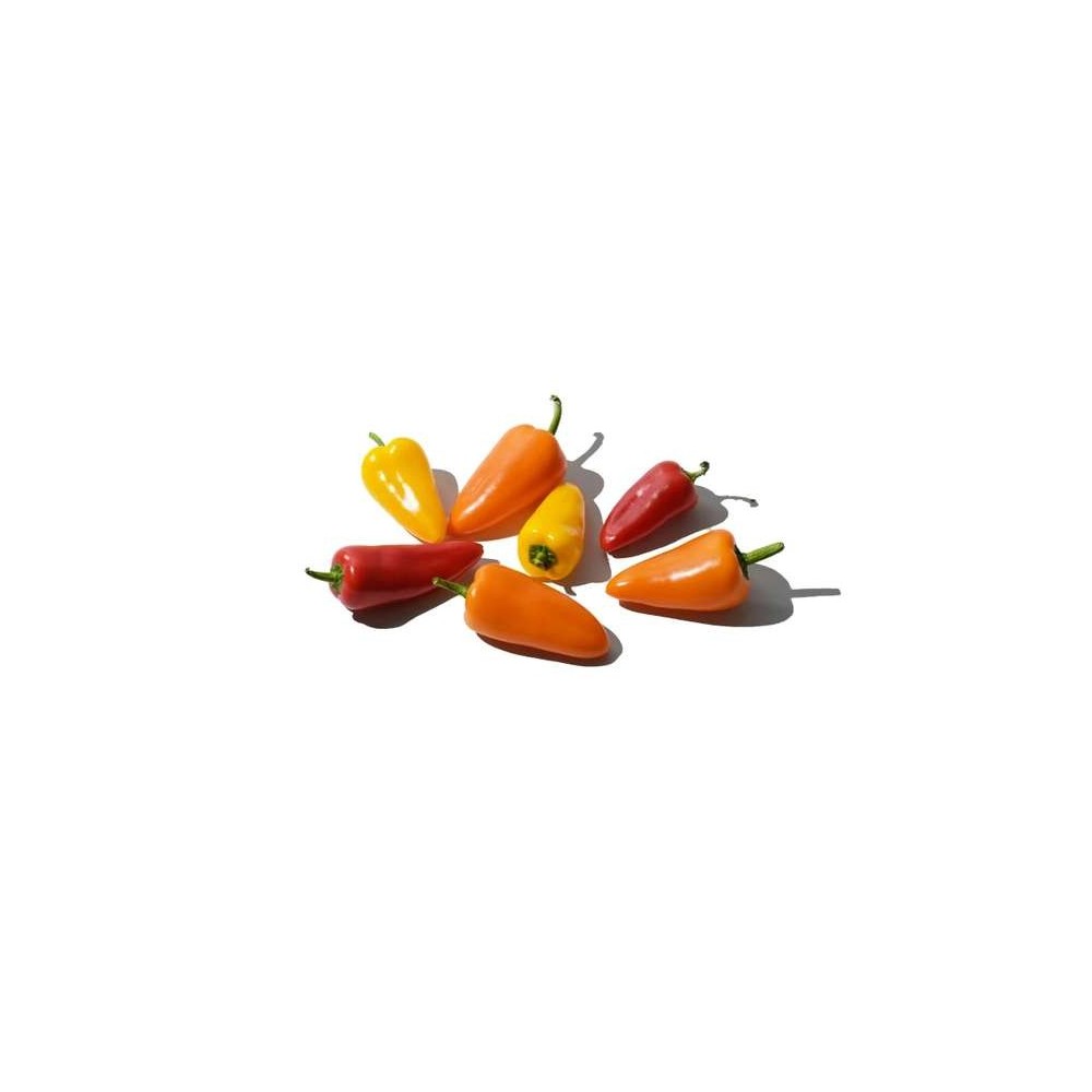 Mini poivrons (barquette de 150 g soit 5 à 6 pieces), Espagne