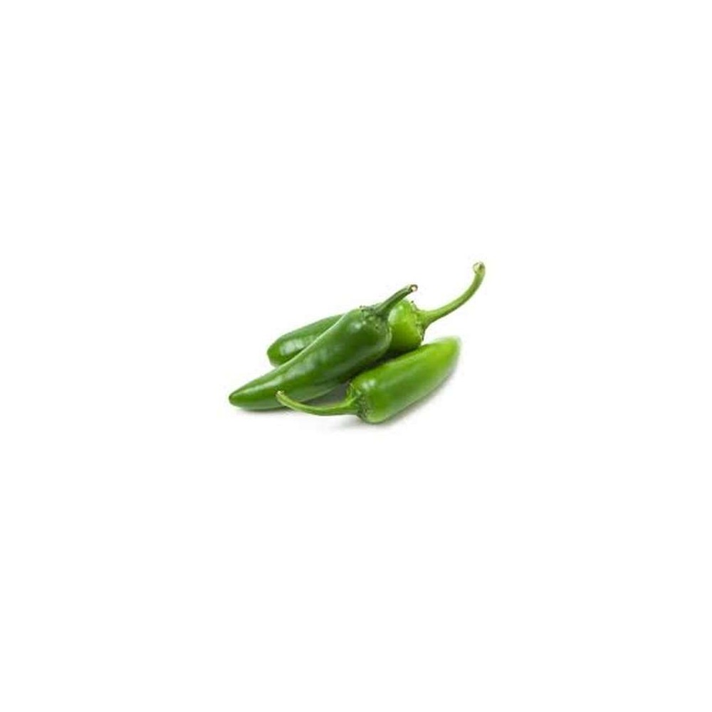 Poivron vert "Corne de bœuf", Espagne