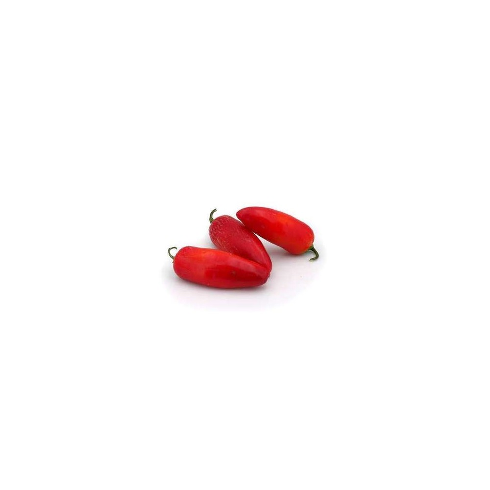 Piment Jalapeño rouge, Espagne
