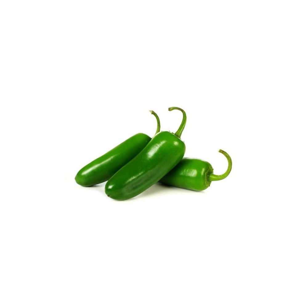 Piment Jalapeño vert, Maroc