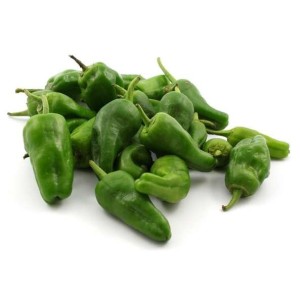 Piment doux "Padron" vert, Espagne