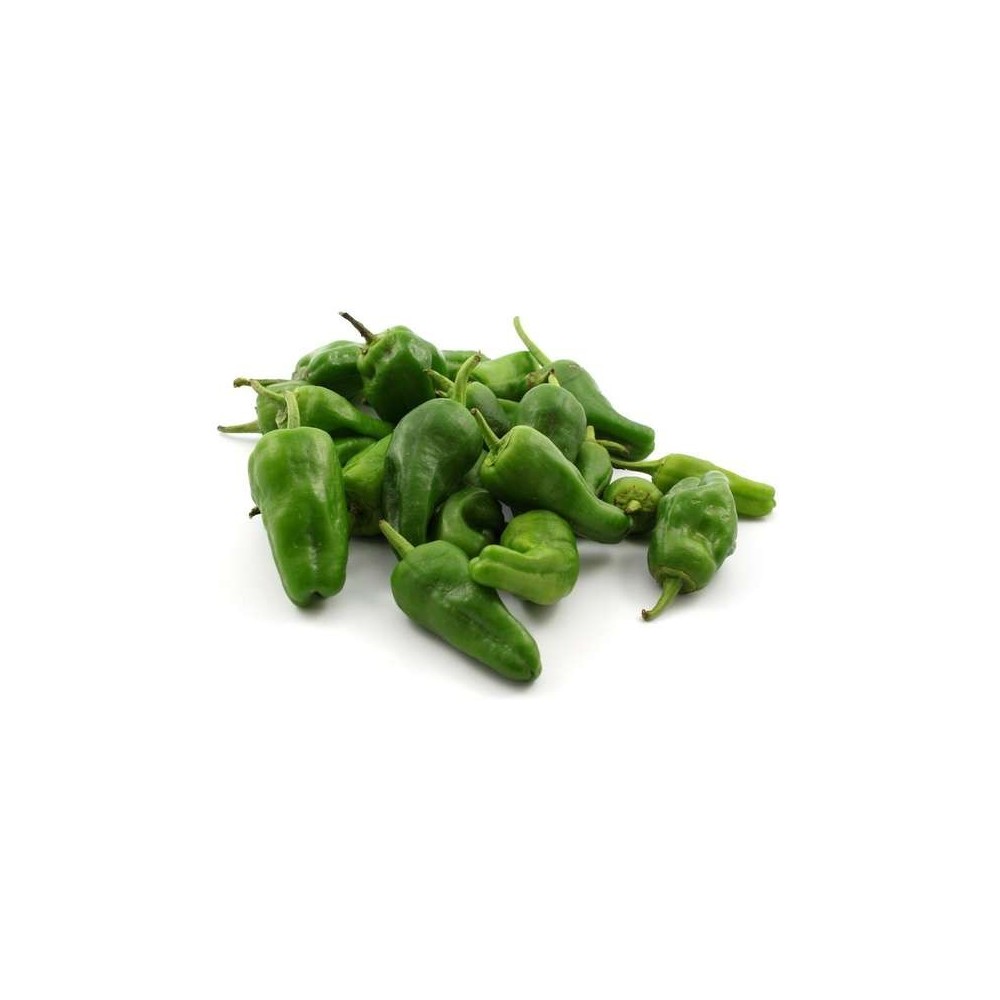 Piment doux "Padron" vert, Espagne