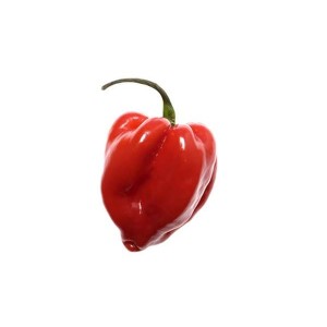 Piment habanero rouge ou "piment antillais" (environ 100 g), Espagne