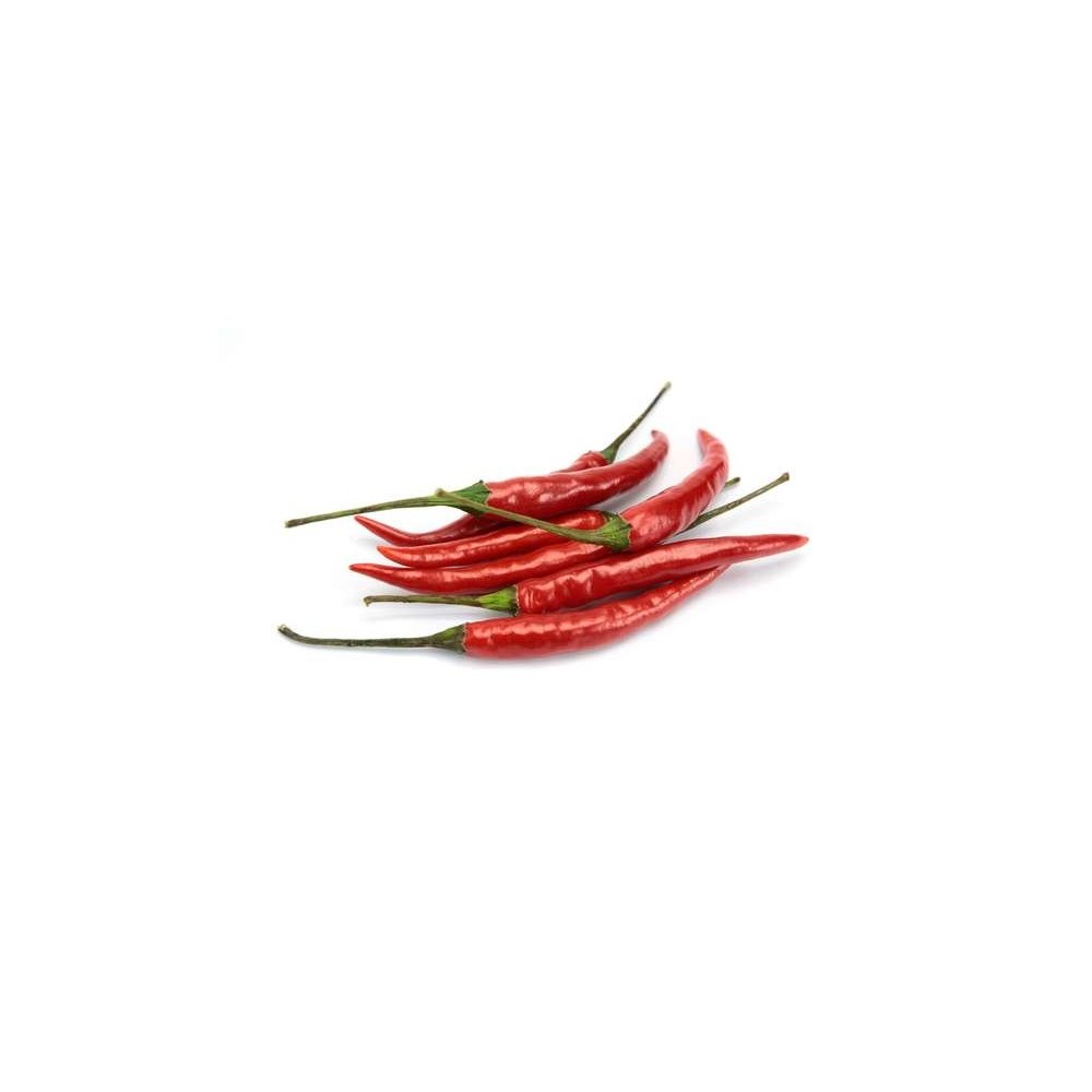 Piment oiseau rouge (barquette de 25 g - une poignée), Afrique du Sud