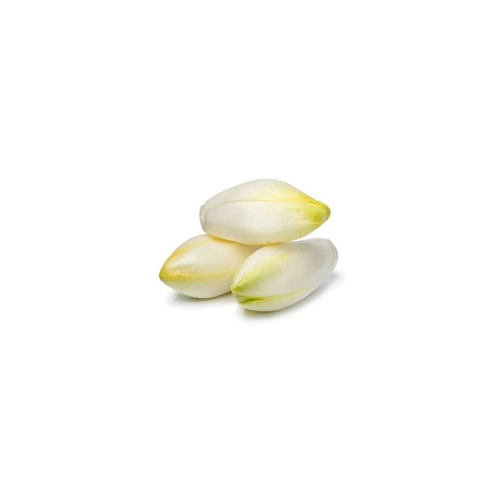 Mini endives "perle du nord" des Hauts-de-France (barquette de 6), France