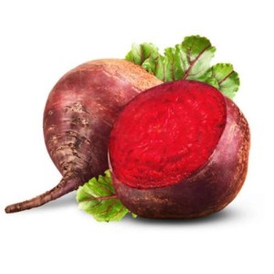 Betterave rouge BIO du Finistère Nord - Direct producteur, France