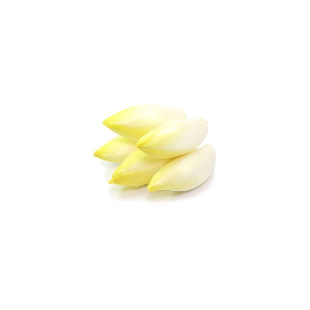 Endive en sachet (1 Kg), France