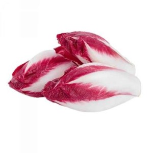 Lot de 3 endives rouges des Hauts-de-France (petit calibre), France