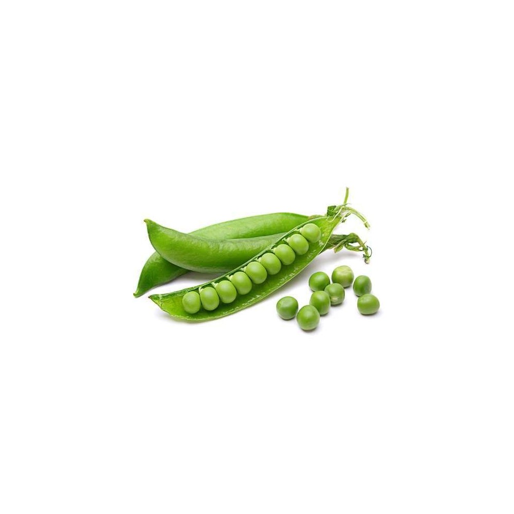 Petits pois frais (à écosser), Danemark