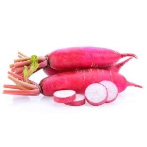 Radis long rouge de Chine BIO du Finistère Nord - Direct producteur, France