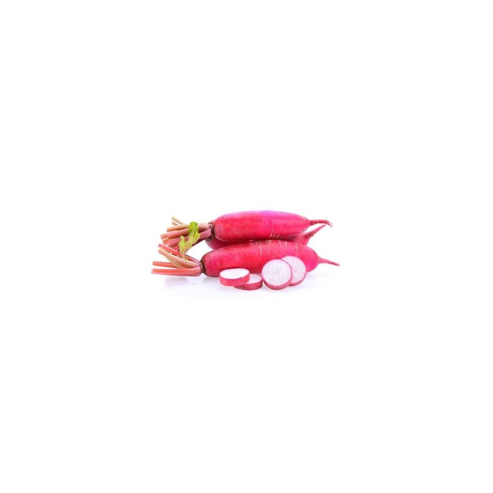 Radis long rouge de Chine BIO du Finistère Nord - Direct producteur, France