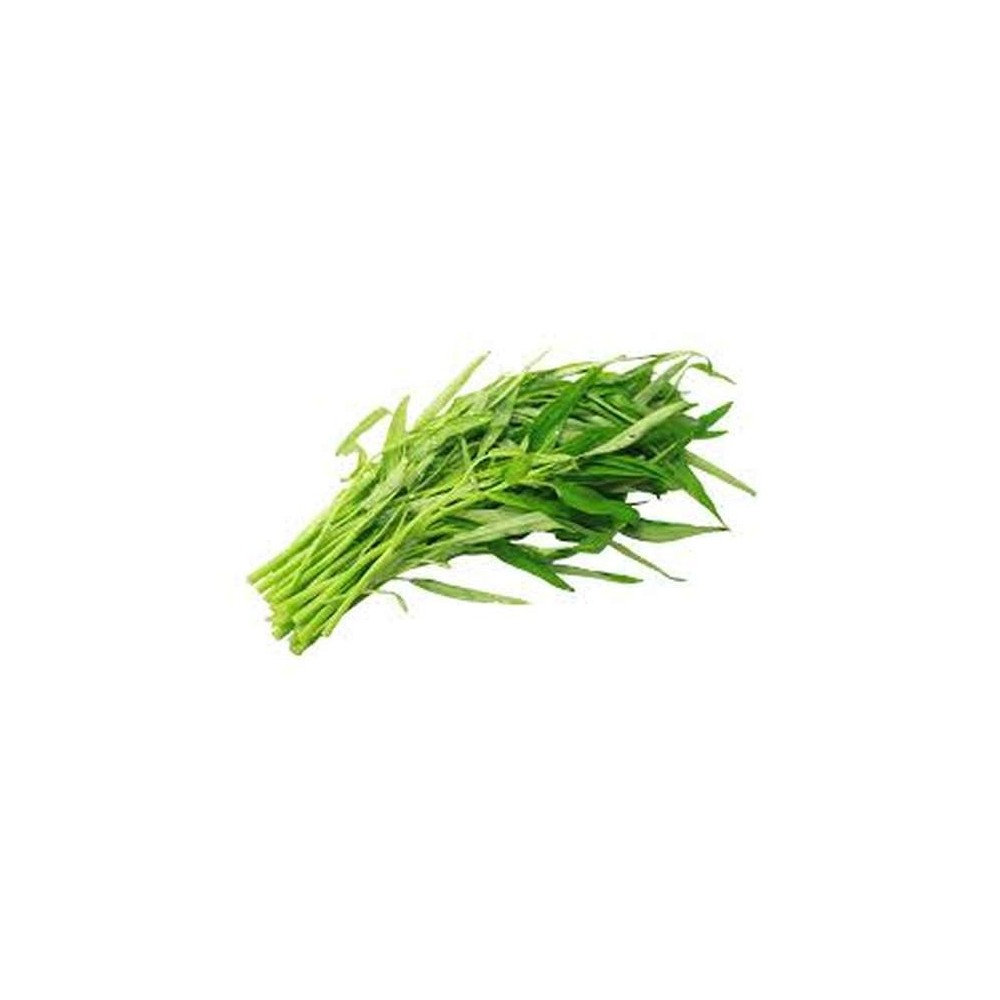 Liseron d'eau - Phak Bong (300g), Thaïlande