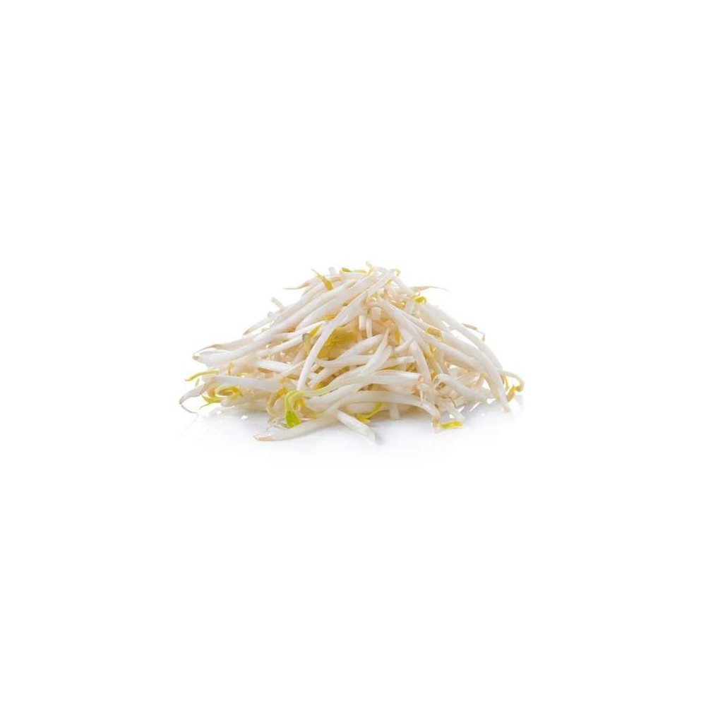 Pousses de soja ou "haricots mungo" (sachets de 500 g), France