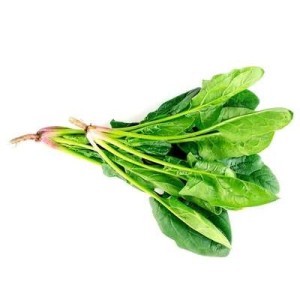 Kangkong ou "Epinard Chinois", Espagne