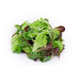Mélange de jeunes pousses mesclun (125 g), France
