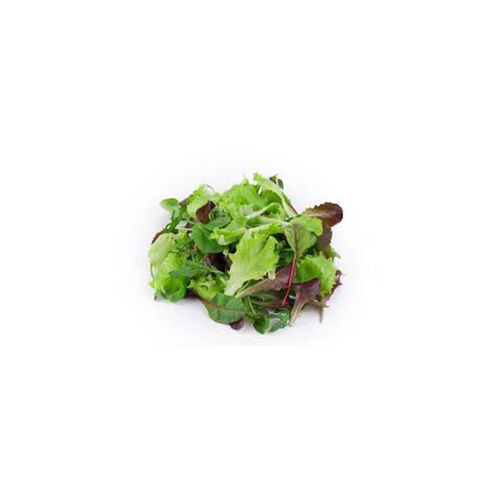 Mélange de jeunes pousses mesclun (125 g), France