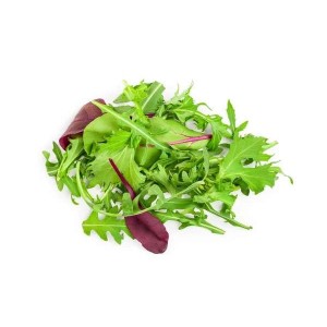 Jeunes pousses de salade "Mesclun" BIO du Finistère Nord - Direct producteur (Barquette de 125 g), France