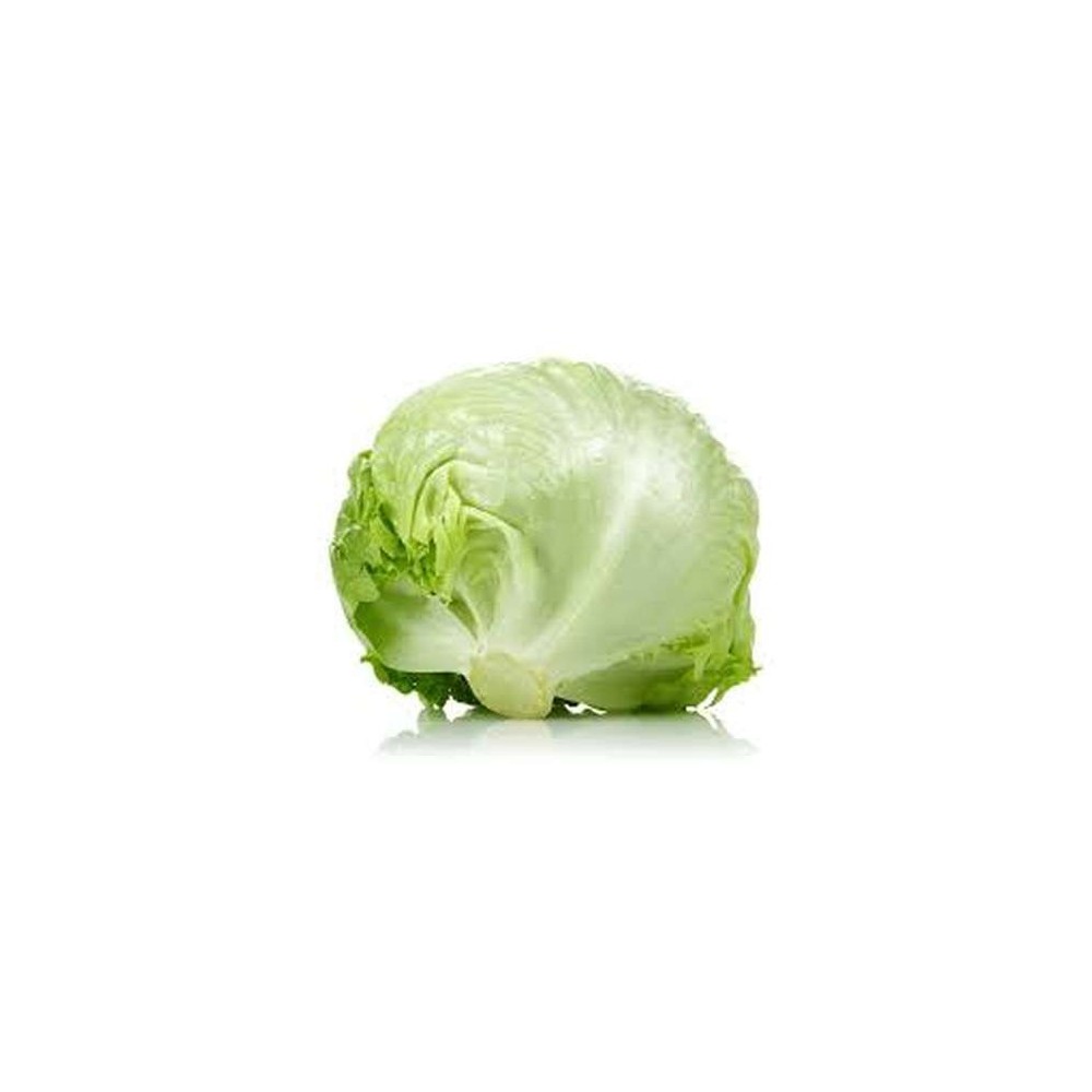 Salade Iceberg (calibre moyen), Espagne