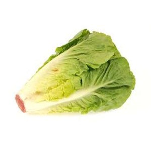 Salade coeur de romaine (calibre moyen), France