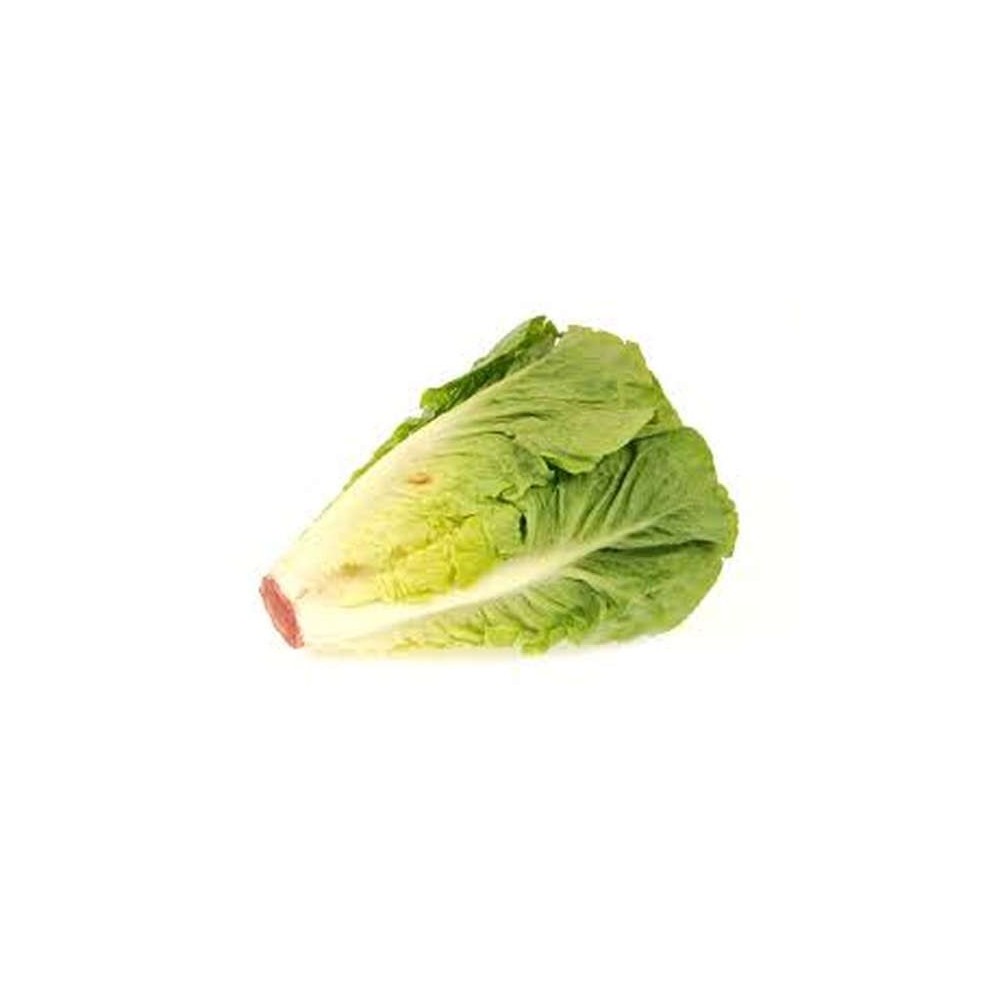 Salade coeur de romaine (calibre moyen), France
